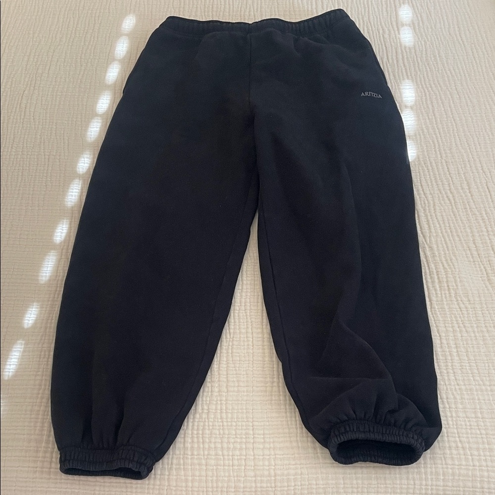 Aritzia Cozy Sweatfleece Mega Jogger